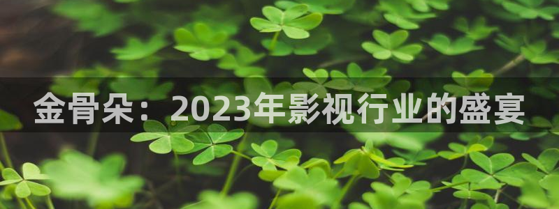 麻豆高清不卡视频