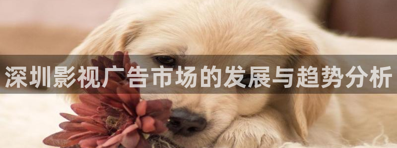 国产麻豆日韩欧美久久