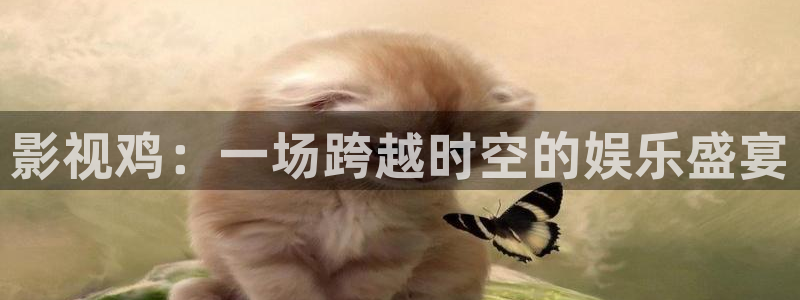 麻豆影视app：影视鸡：一场跨越时空的娱乐盛宴