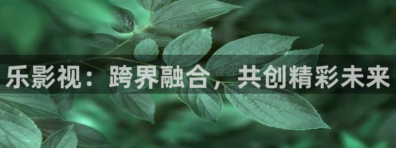 麻豆电影在线播放